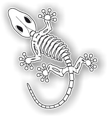 Pegatina Lagartija Esqueleto A0149